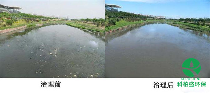 �ڲ�����Ϸ���� - ����Ϊ��,רҵ����!