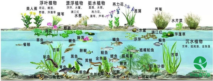 �ڲ�����Ϸ���� - ����Ϊ��,רҵ����!