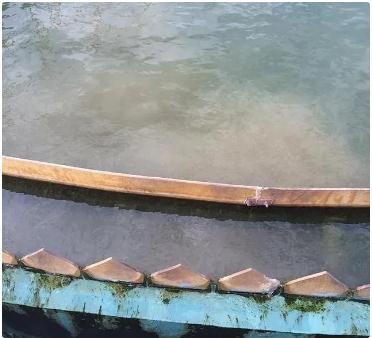 �ڲ�����Ϸ���� - ����Ϊ��,רҵ����!