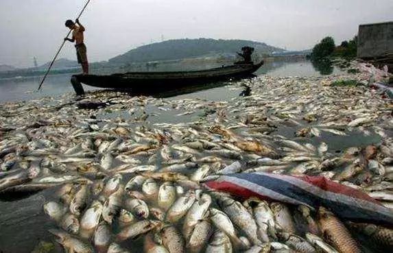 �ڲ�����Ϸ���� - ����Ϊ��,רҵ����!