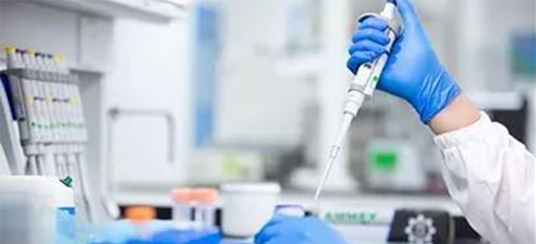 AG真人官方(中国)官方网站IOS/安卓通用版/手机app下载