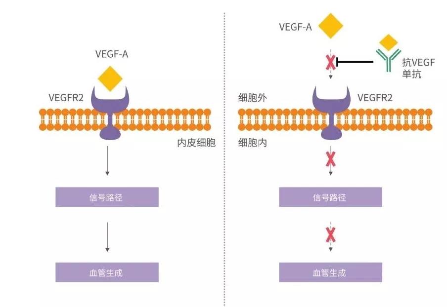 AG真人官方(中国)官方网站IOS/安卓通用版/手机app下载