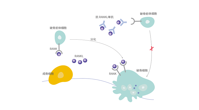 AG真人官方(中国)官方网站IOS/安卓通用版/手机app下载