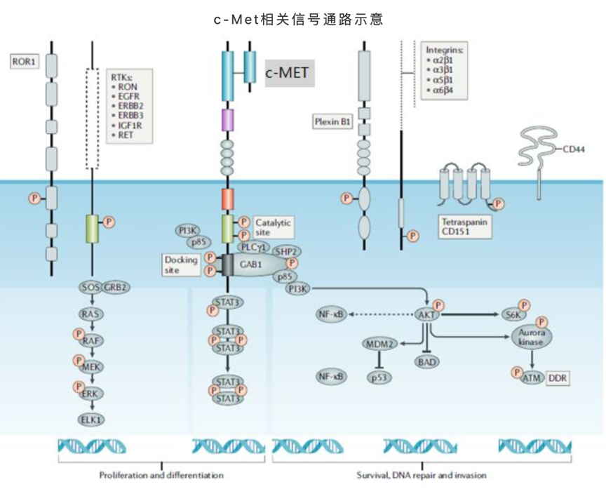 AG真人官方(中国)官方网站IOS/安卓通用版/手机app下载