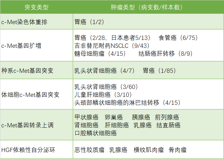 AG真人官方(中国)官方网站IOS/安卓通用版/手机app下载