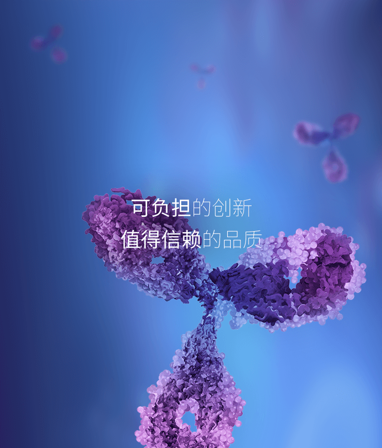 AG真人官方(中国)官方网站IOS/安卓通用版/手机app下载