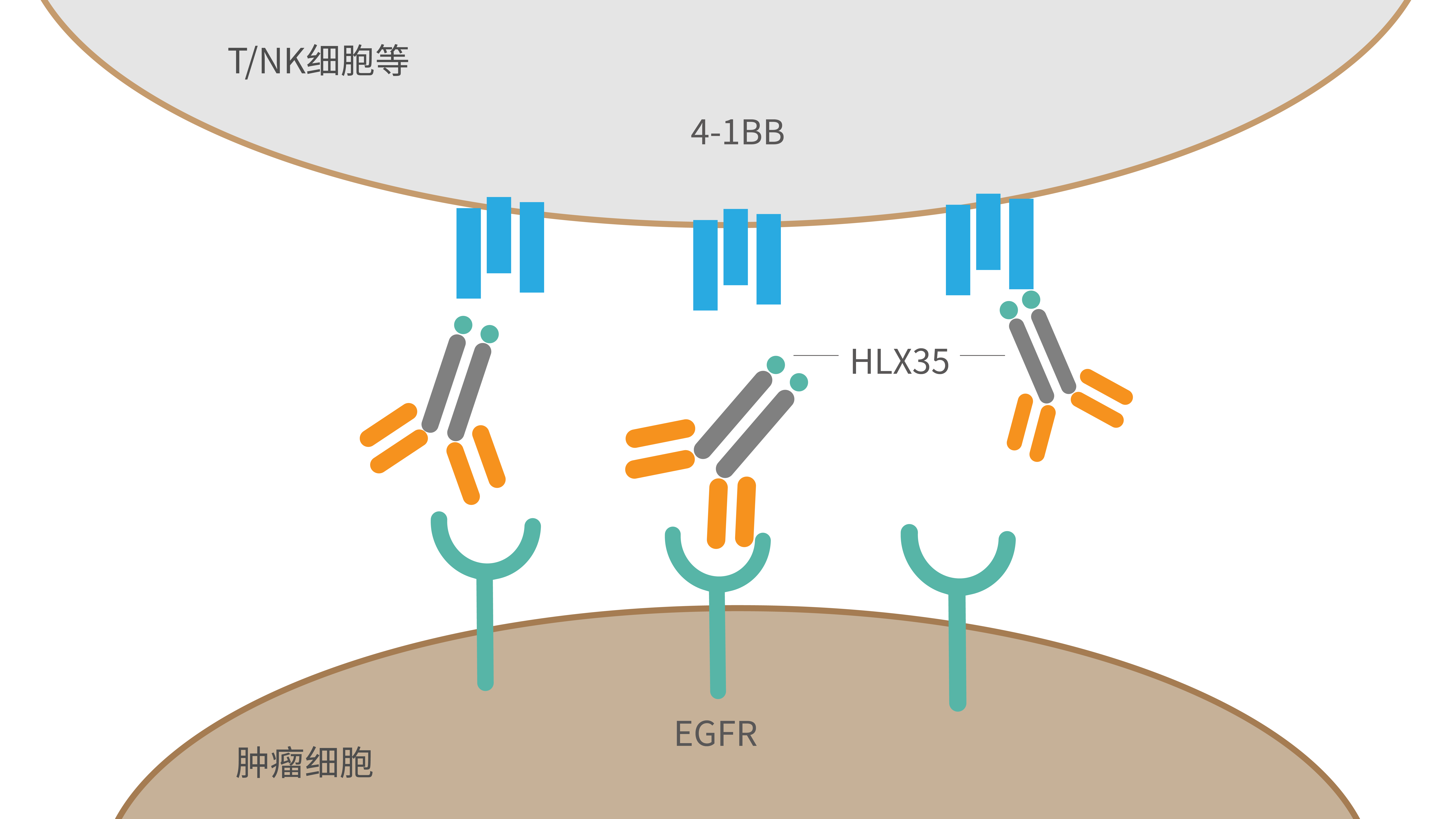 AG真人官方(中国)官方网站IOS/安卓通用版/手机app下载
