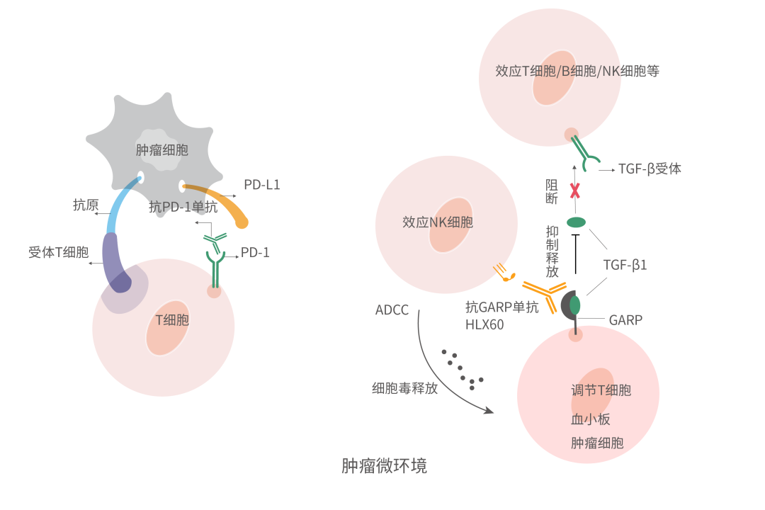 AG真人官方(中国)官方网站IOS/安卓通用版/手机app下载