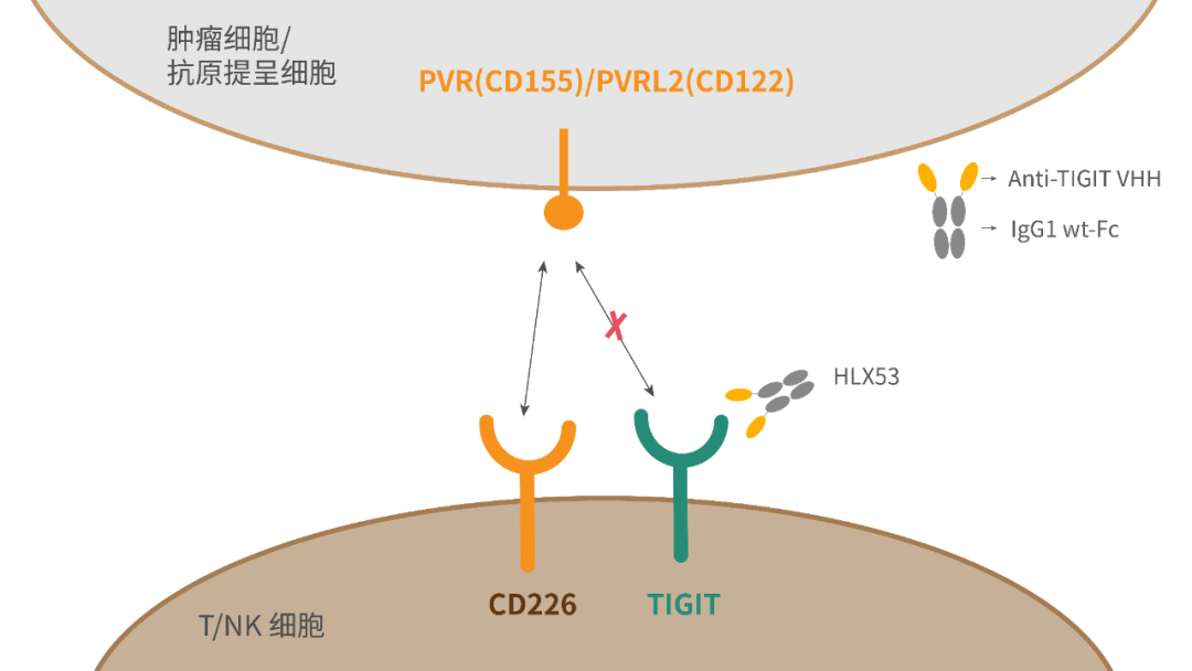 AG真人官方(中国)官方网站IOS/安卓通用版/手机app下载