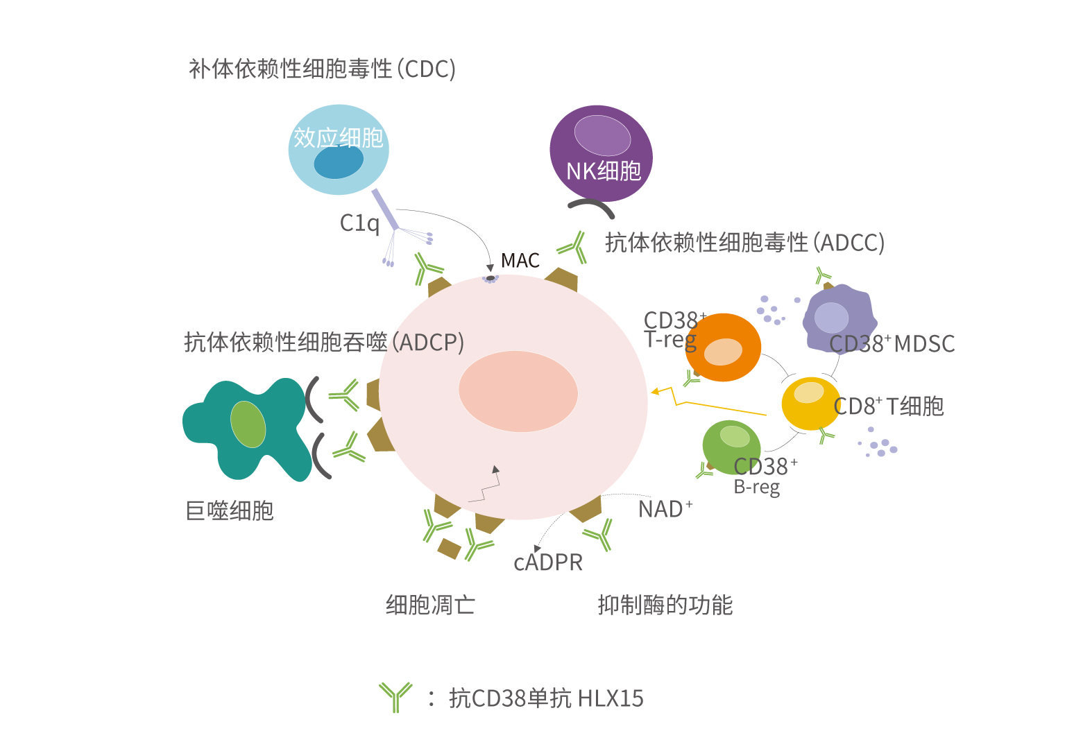AG真人官方(中国)官方网站IOS/安卓通用版/手机app下载