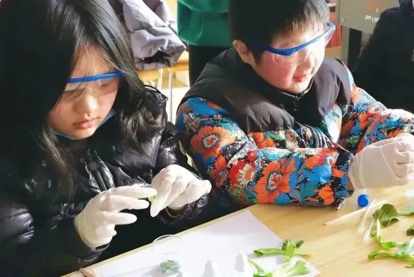 AG真人官方(中国)官方网站IOS/安卓通用版/手机app下载