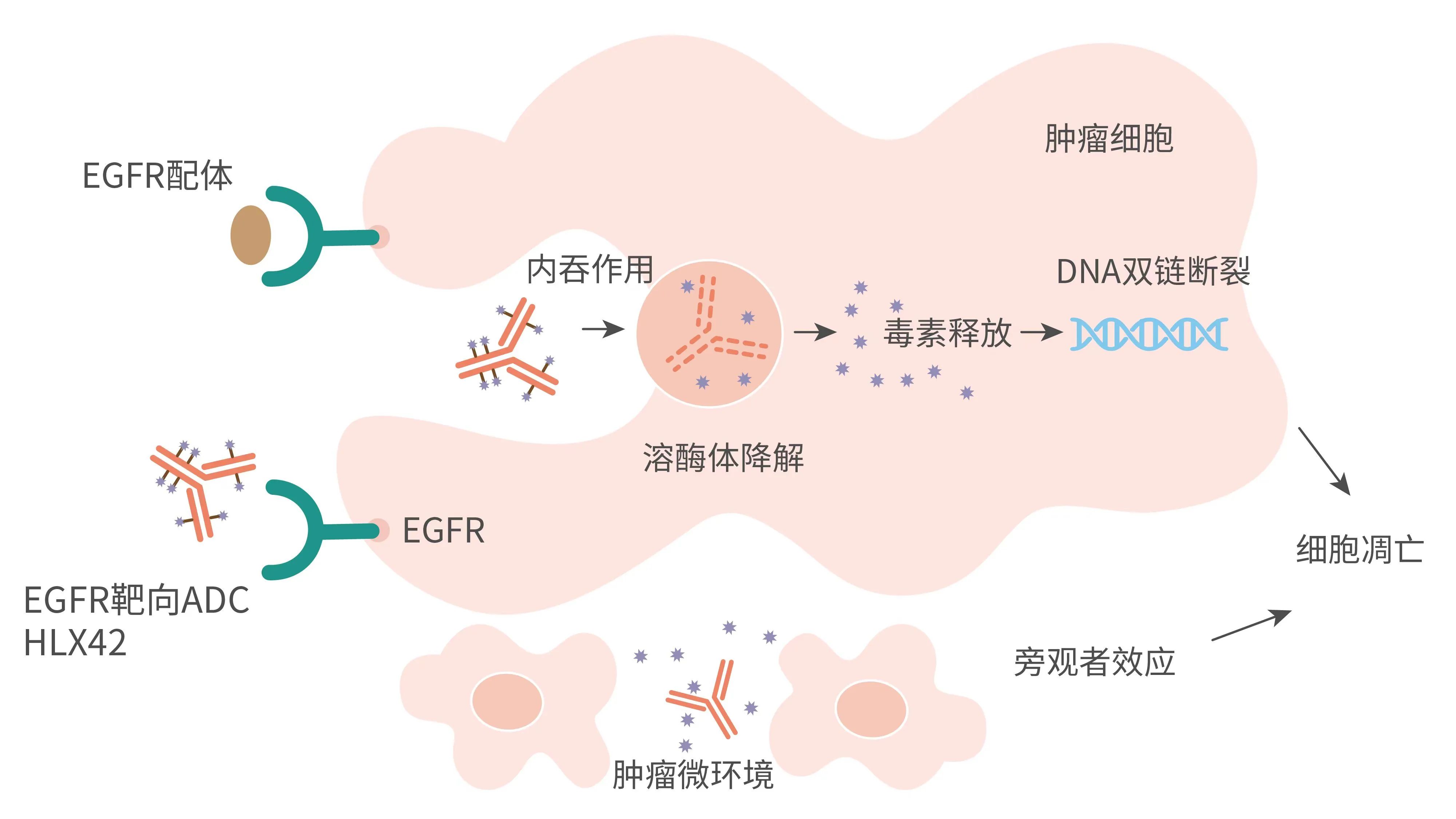 AG真人官方(中国)官方网站IOS/安卓通用版/手机app下载