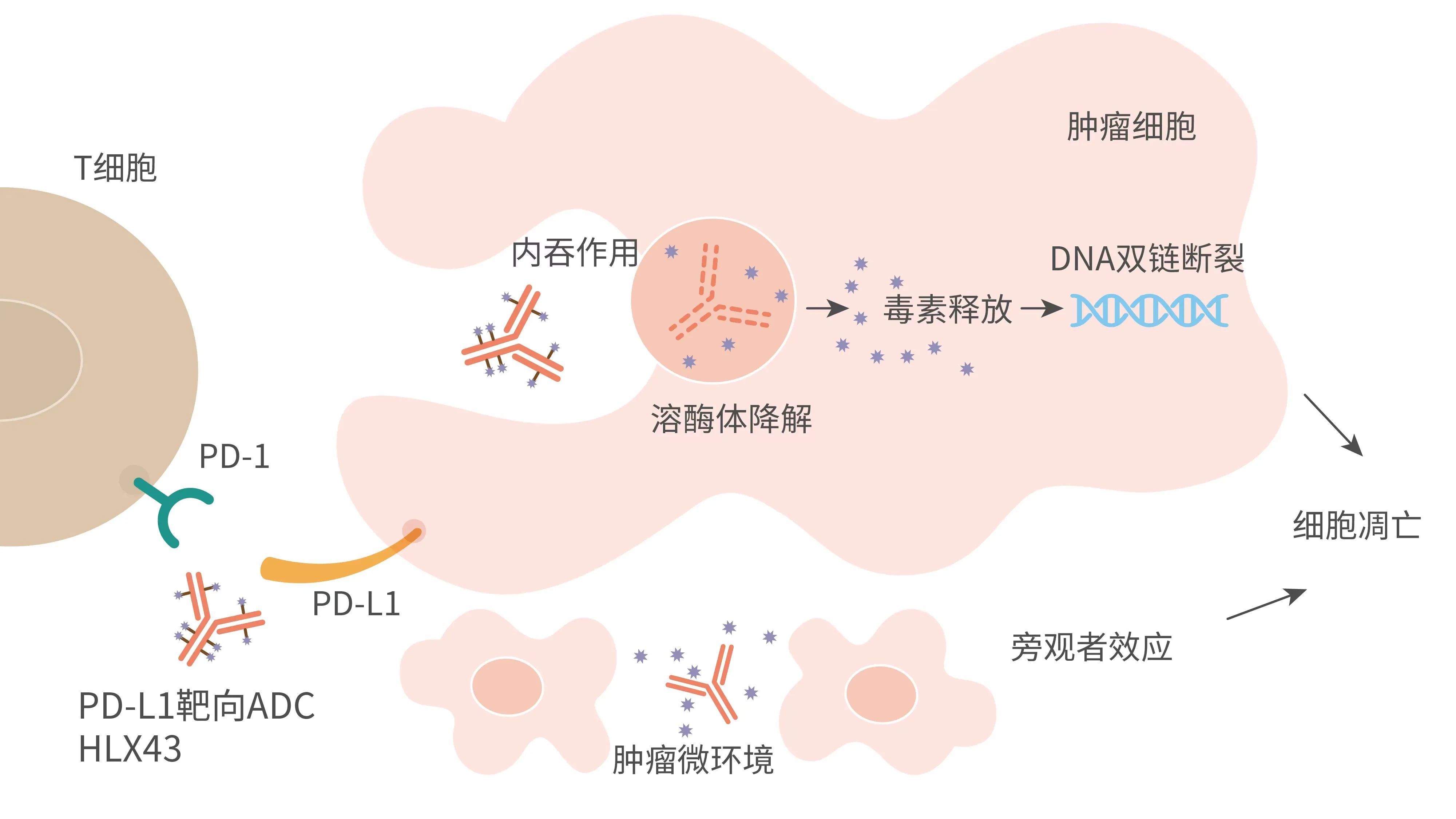 AG真人官方(中国)官方网站IOS/安卓通用版/手机app下载