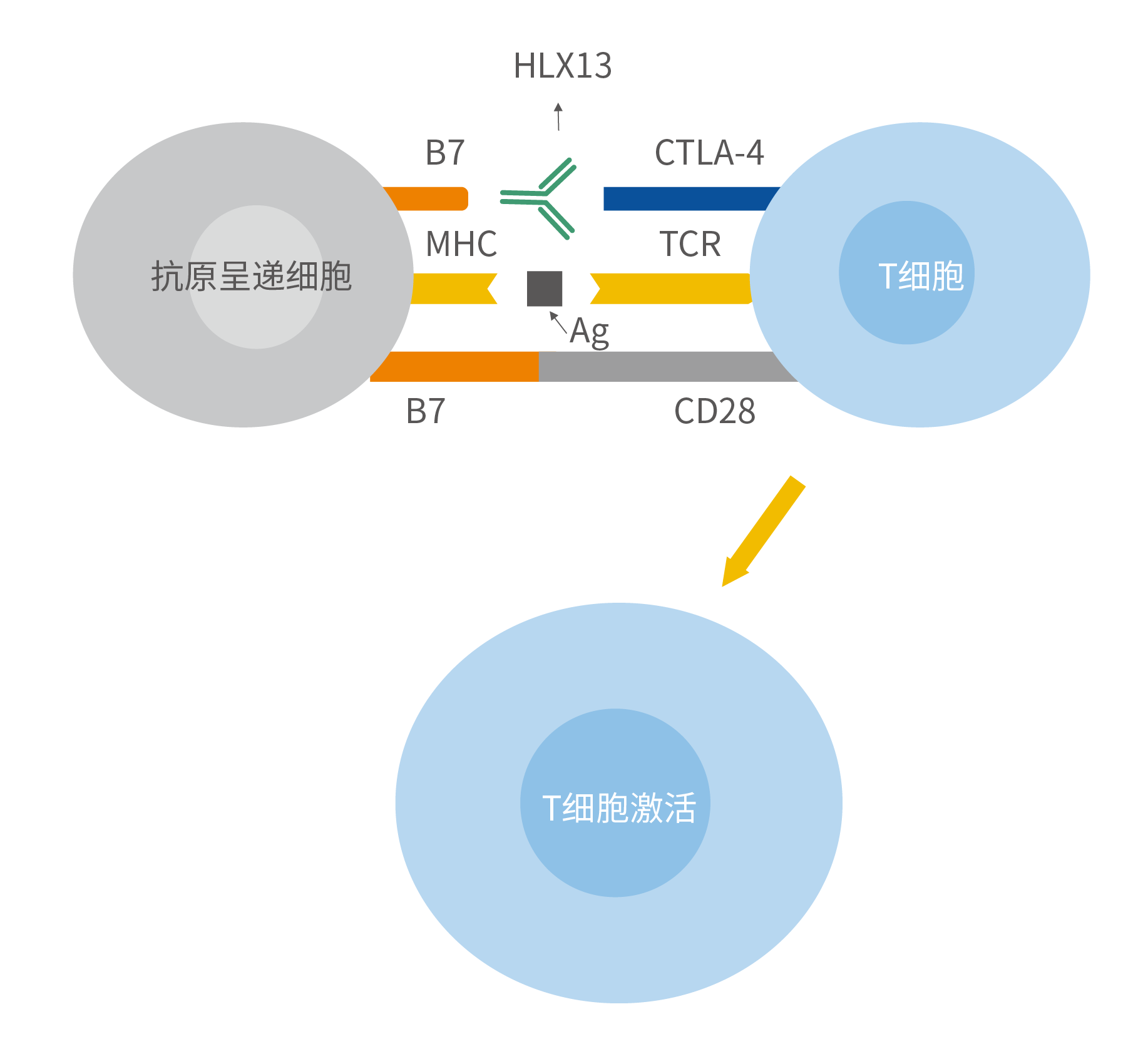 AG真人官方(中国)官方网站IOS/安卓通用版/手机app下载