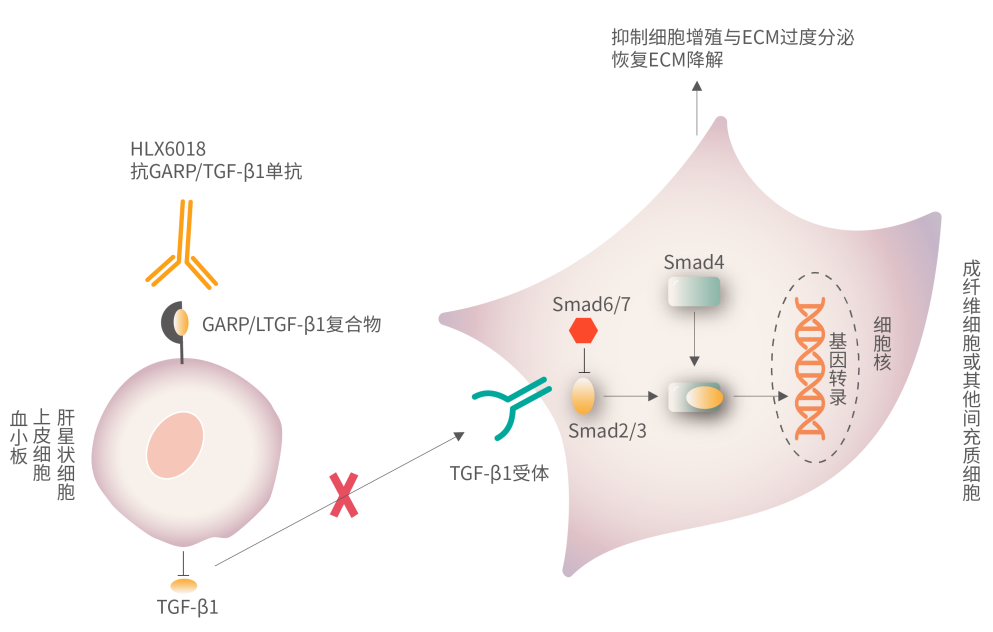 AG真人官方(中国)官方网站IOS/安卓通用版/手机app下载