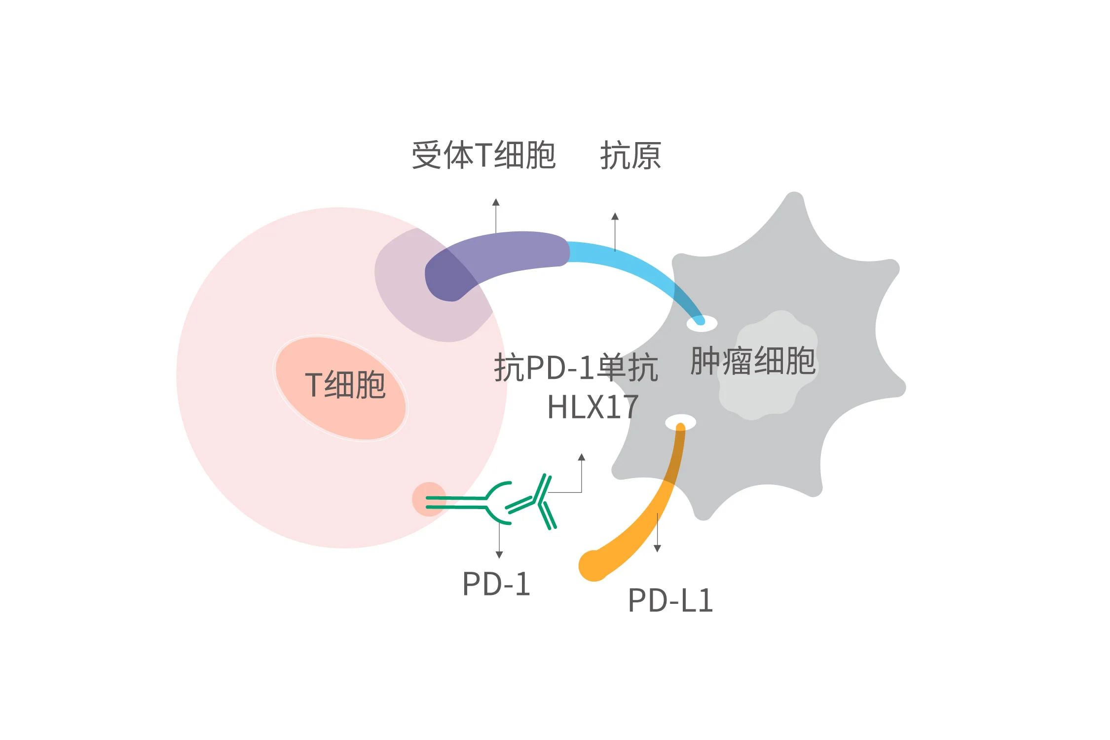AG真人官方(中国)官方网站IOS/安卓通用版/手机app下载
