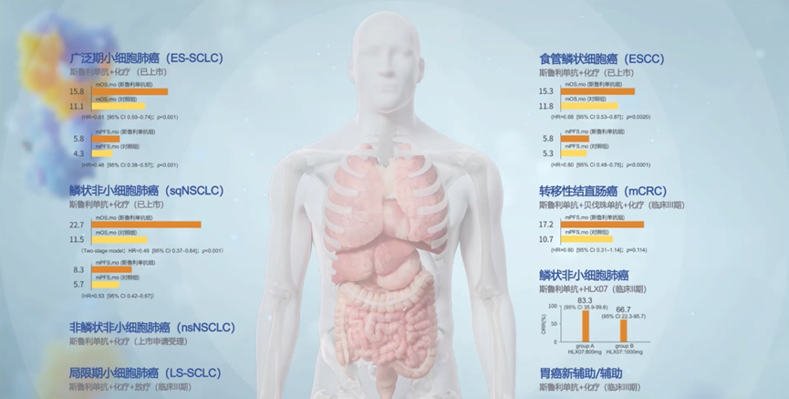 AG真人官方(中国)官方网站IOS/安卓通用版/手机app下载