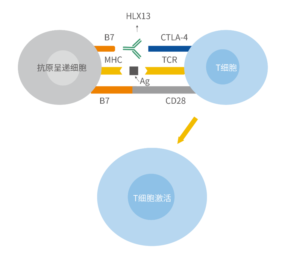 AG真人官方(中国)官方网站IOS/安卓通用版/手机app下载